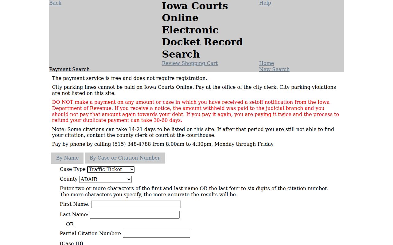 Dickinson County criminal court case payment search fields
